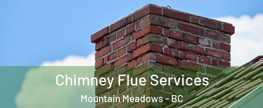  Chimney Flue Services Mountain Meadows - BC
