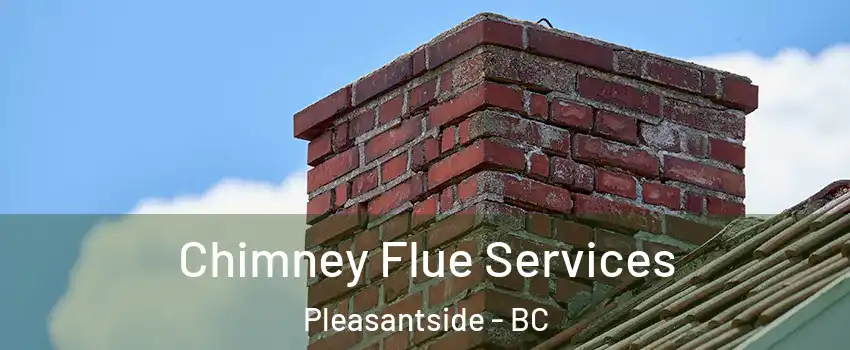  Chimney Flue Services Pleasantside - BC