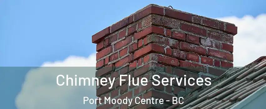  Chimney Flue Services Port Moody Centre - BC