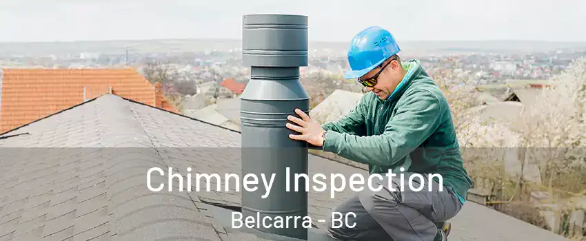  Chimney Inspection Belcarra - BC