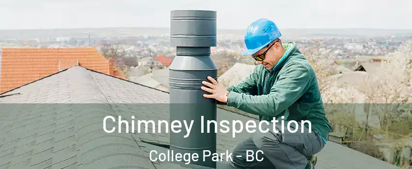  Chimney Inspection College Park - BC