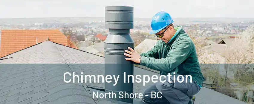 Chimney Inspection North Shore - BC