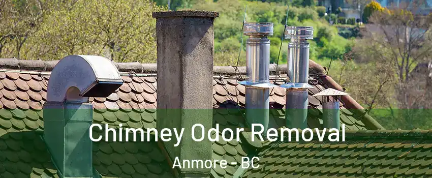  Chimney Odor Removal Anmore - BC