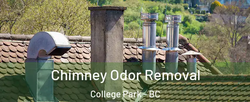 Chimney Odor Removal College Park - BC