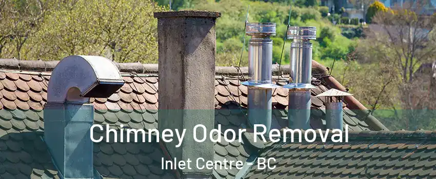  Chimney Odor Removal Inlet Centre - BC