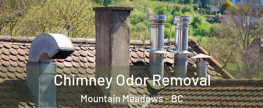  Chimney Odor Removal Mountain Meadows - BC