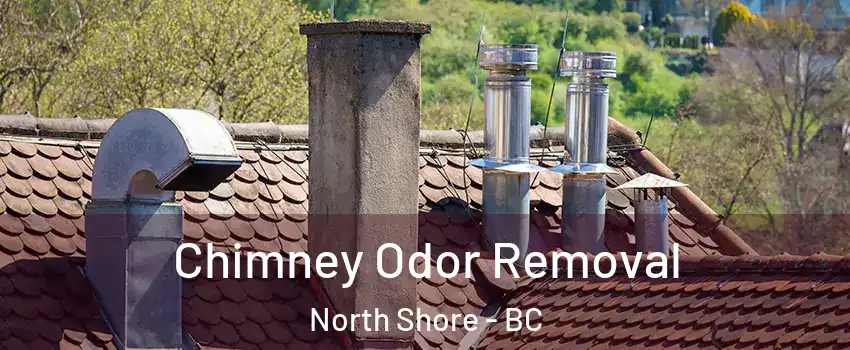  Chimney Odor Removal North Shore - BC