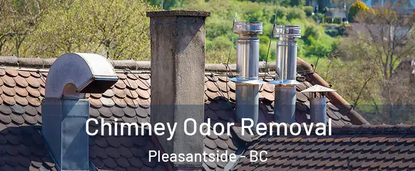  Chimney Odor Removal Pleasantside - BC