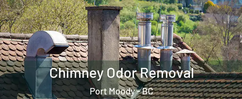  Chimney Odor Removal Port Moody - BC