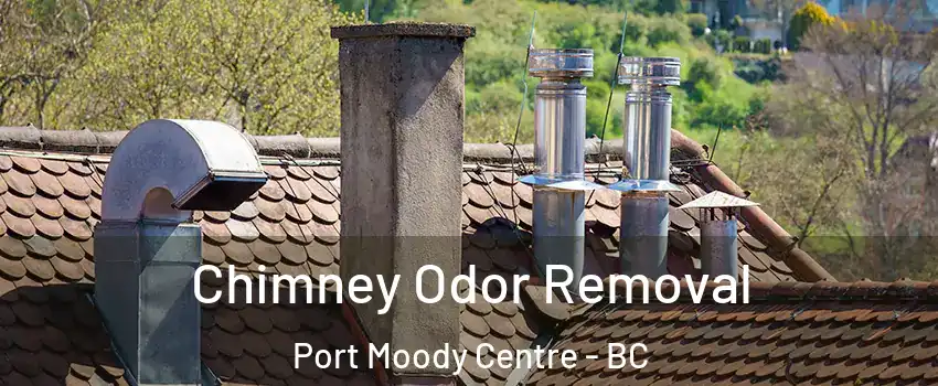  Chimney Odor Removal Port Moody Centre - BC