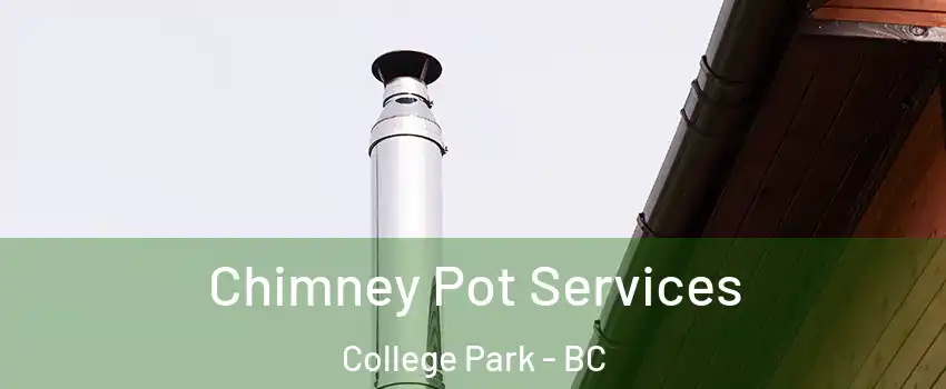  Chimney Pot Services College Park - BC