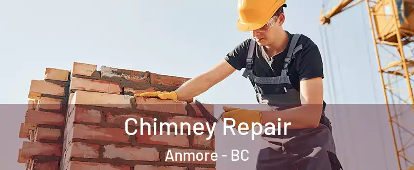  Chimney Repair Anmore - BC