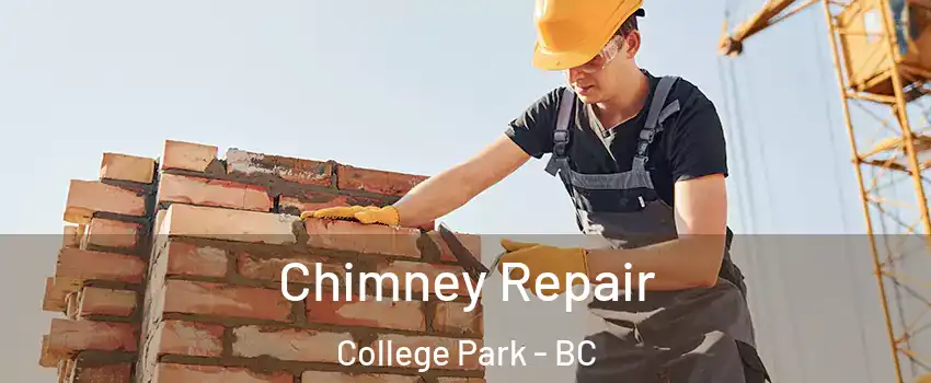  Chimney Repair College Park - BC