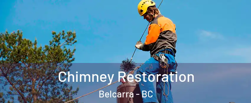  Chimney Restoration Belcarra - BC