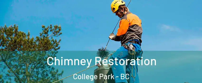  Chimney Restoration College Park - BC