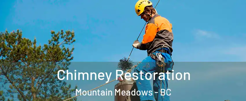  Chimney Restoration Mountain Meadows - BC