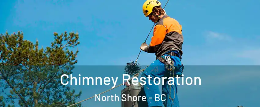  Chimney Restoration North Shore - BC