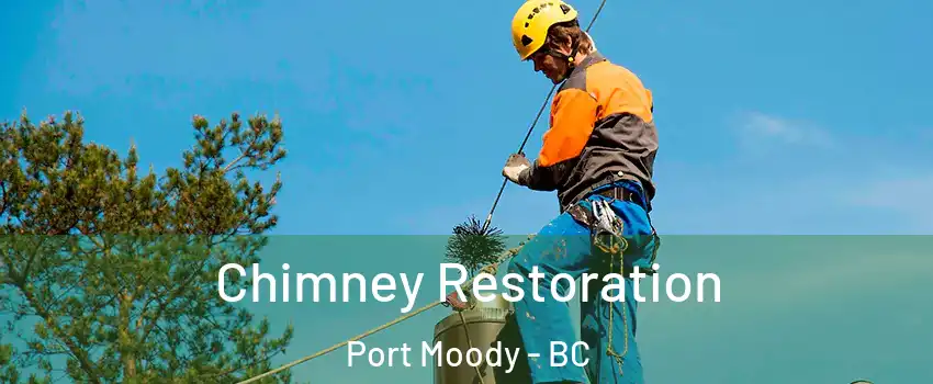  Chimney Restoration Port Moody - BC
