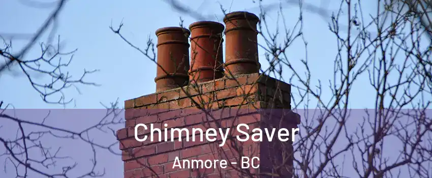  Chimney Saver Anmore - BC