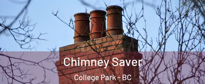  Chimney Saver College Park - BC