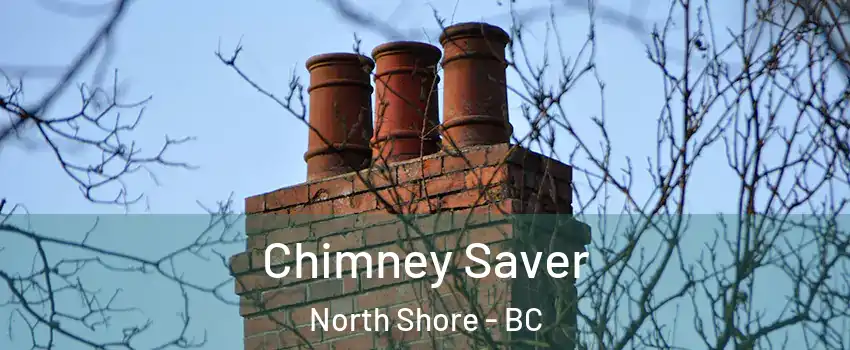  Chimney Saver North Shore - BC