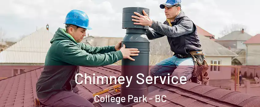  Chimney Service College Park - BC