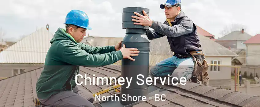  Chimney Service North Shore - BC