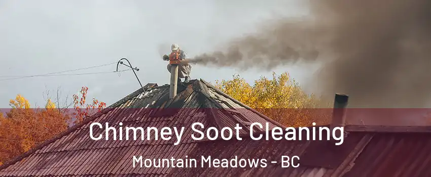  Chimney Soot Cleaning Mountain Meadows - BC