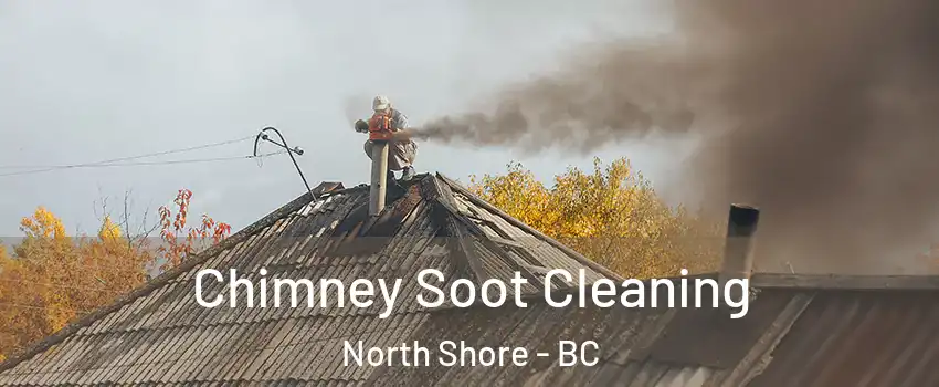  Chimney Soot Cleaning North Shore - BC