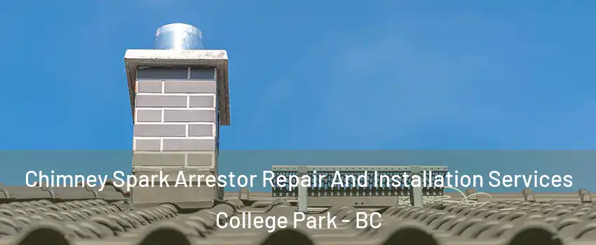  Chimney Spark Arrestor Repair And Installation Services College Park - BC