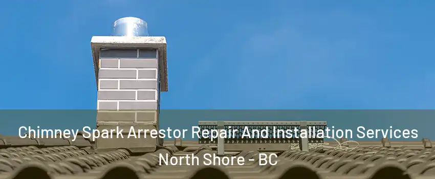  Chimney Spark Arrestor Repair And Installation Services North Shore - BC