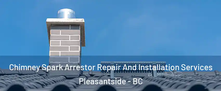  Chimney Spark Arrestor Repair And Installation Services Pleasantside - BC