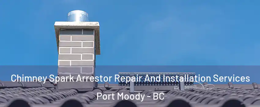  Chimney Spark Arrestor Repair And Installation Services Port Moody - BC