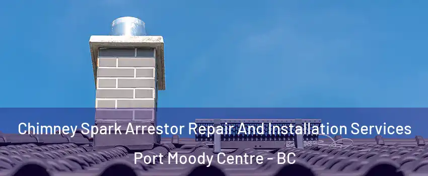  Chimney Spark Arrestor Repair And Installation Services Port Moody Centre - BC