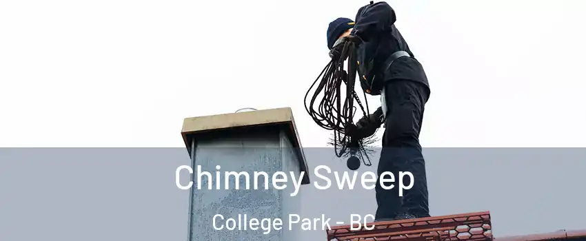  Chimney Sweep College Park - BC