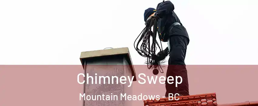  Chimney Sweep Mountain Meadows - BC