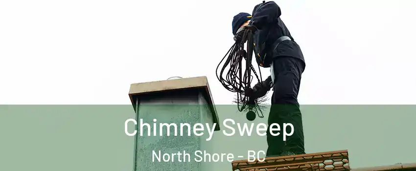  Chimney Sweep North Shore - BC