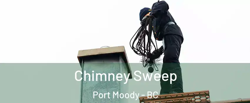  Chimney Sweep Port Moody - BC