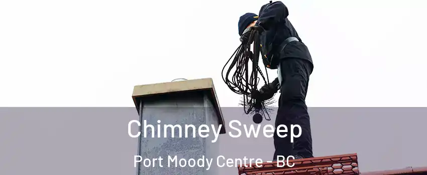  Chimney Sweep Port Moody Centre - BC