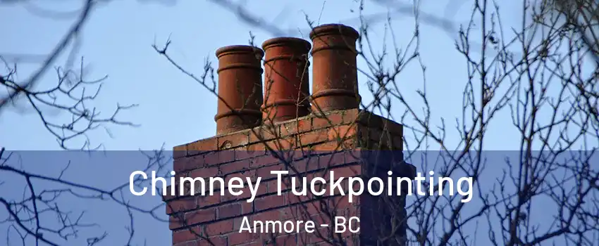  Chimney Tuckpointing Anmore - BC