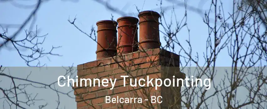  Chimney Tuckpointing Belcarra - BC