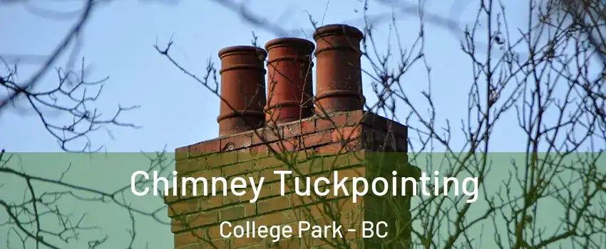  Chimney Tuckpointing College Park - BC