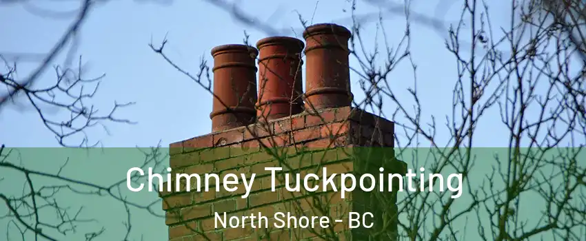  Chimney Tuckpointing North Shore - BC