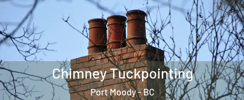  Chimney Tuckpointing Port Moody - BC