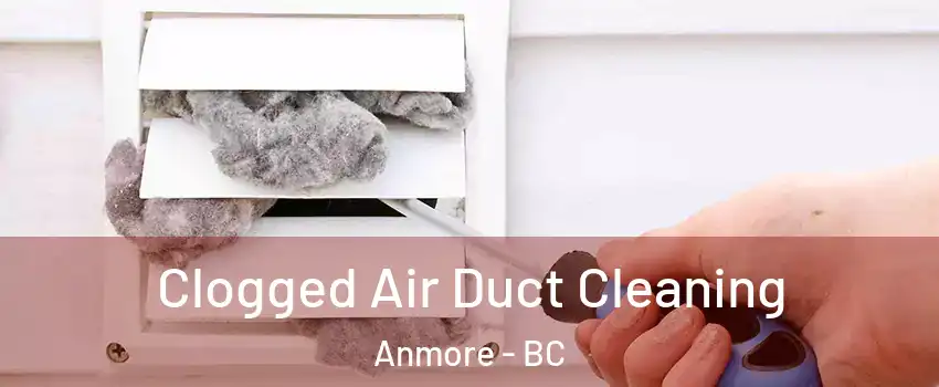  Clogged Air Duct Cleaning Anmore - BC