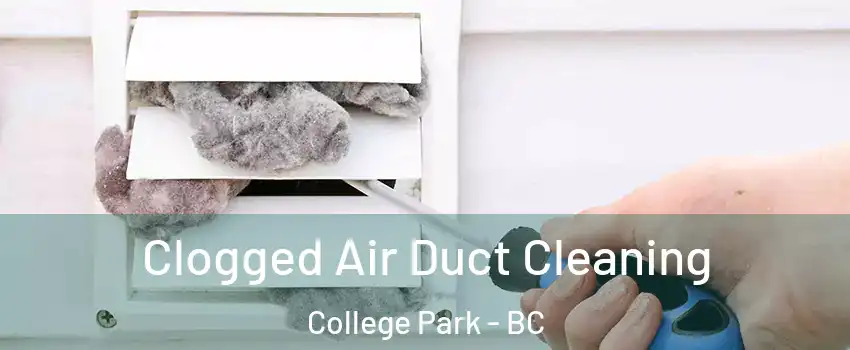  Clogged Air Duct Cleaning College Park - BC