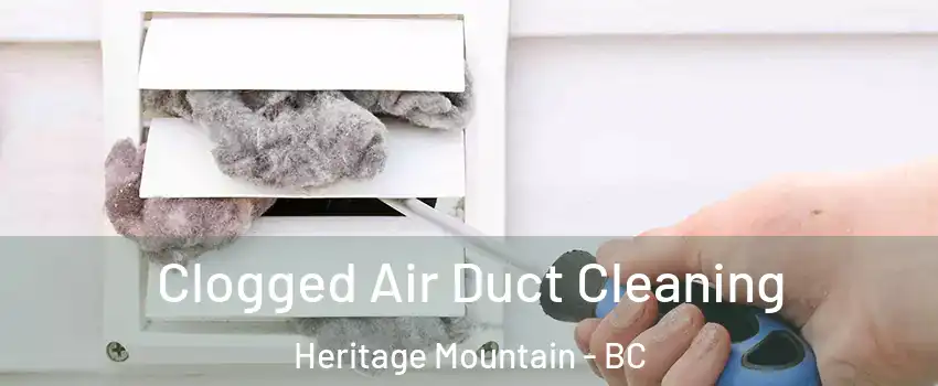  Clogged Air Duct Cleaning Heritage Mountain - BC
