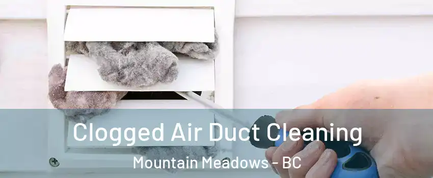  Clogged Air Duct Cleaning Mountain Meadows - BC