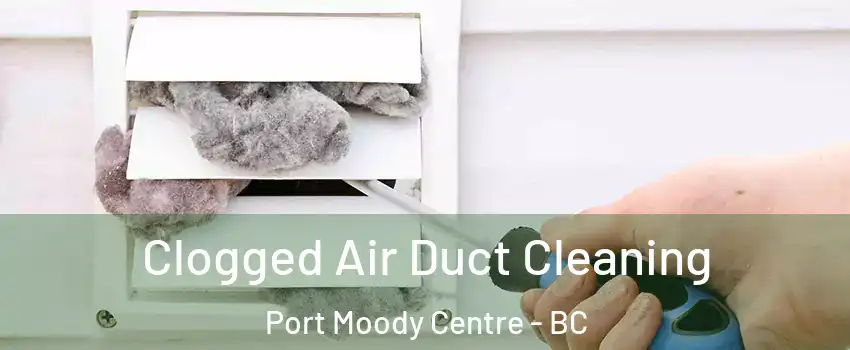  Clogged Air Duct Cleaning Port Moody Centre - BC