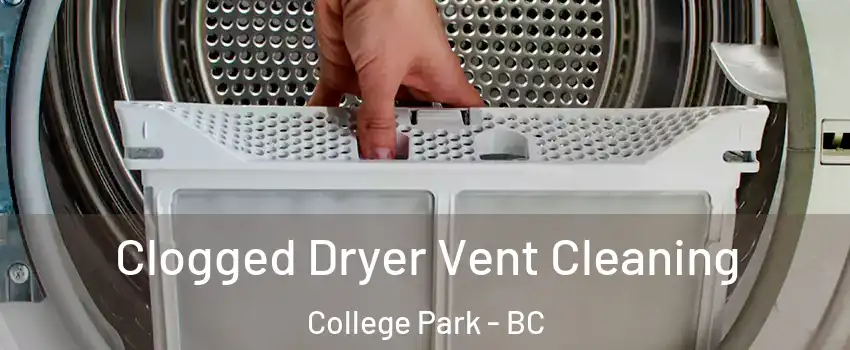  Clogged Dryer Vent Cleaning College Park - BC